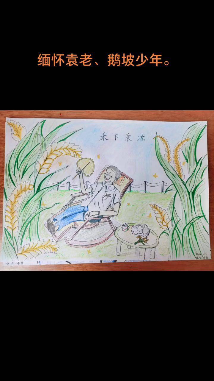 缅怀袁隆平,珍惜粮食,从我做起