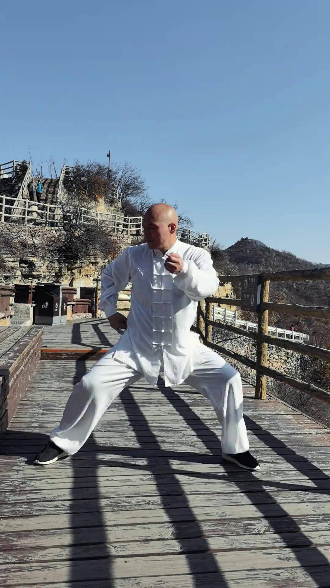 融天地之精华,聚于一拳一脚,功力深厚,所向披靡 传武 太极拳 王战军