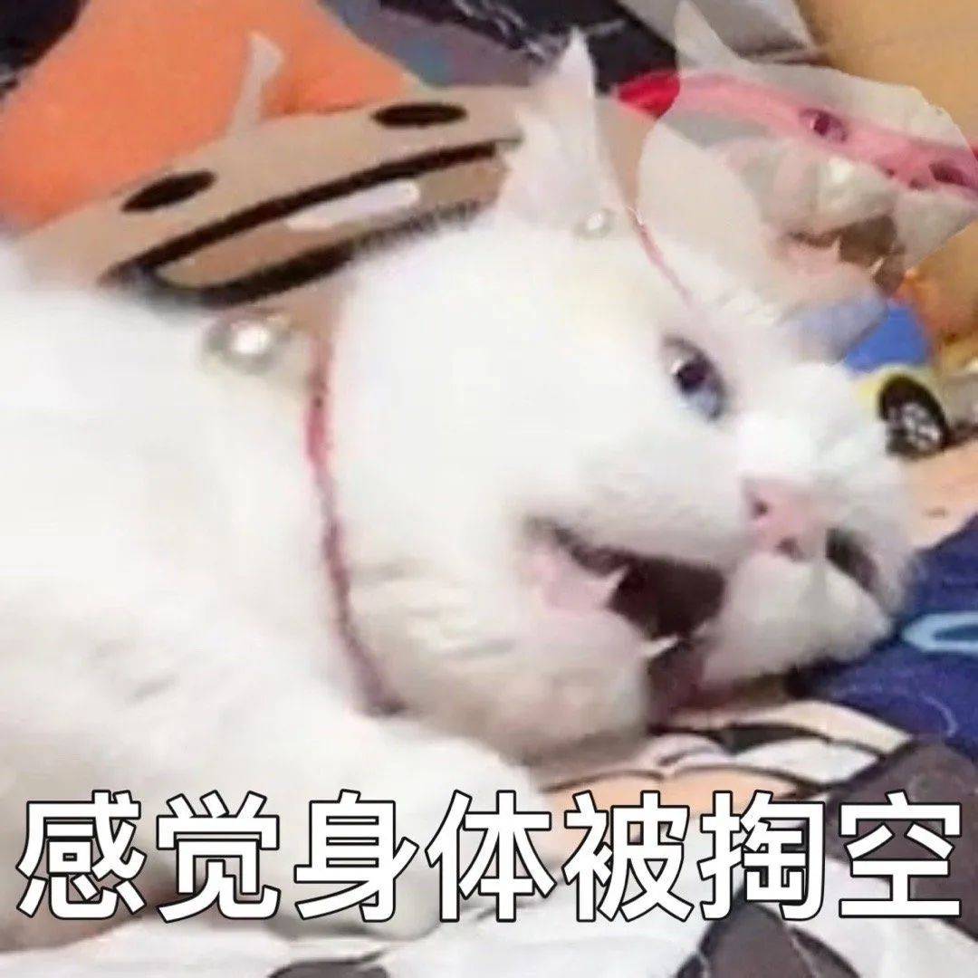 熊猫头坐牢表情包图片