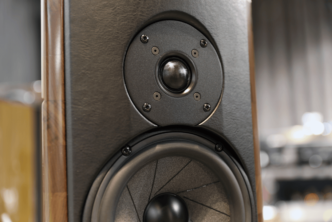 封面丨聆听哥德堡变奏曲之美 franco serblin accordo goldberg书架式