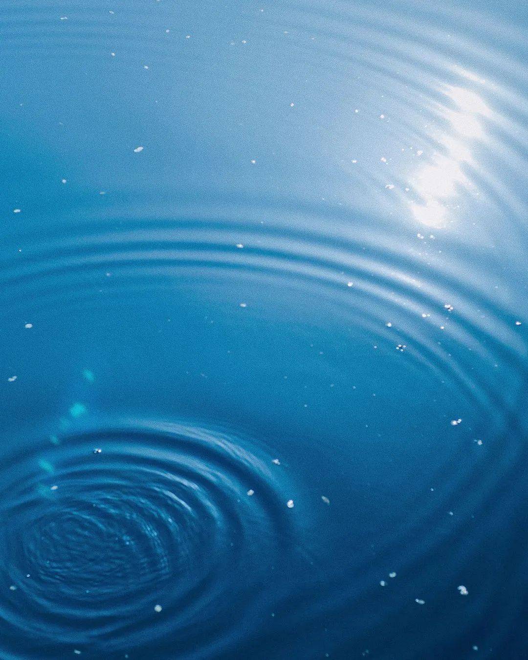 对抗焦虑的办法，不是早起和行动_搜狐网