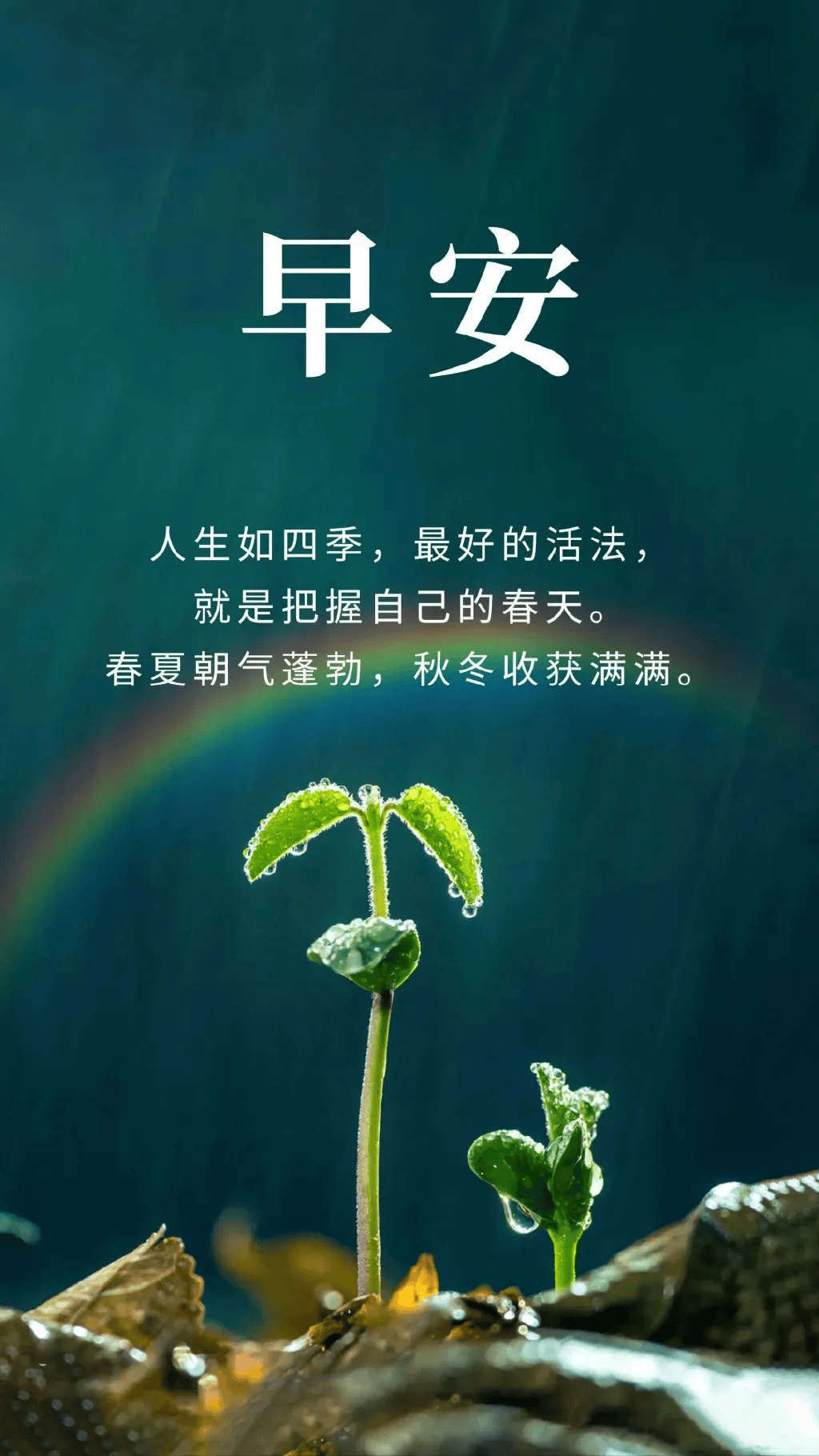 新的一天正能量句子图片