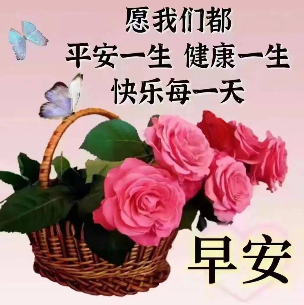 2024年9月4日最新早上好祝福语图片大全 今日精选早安问候祝福图片带