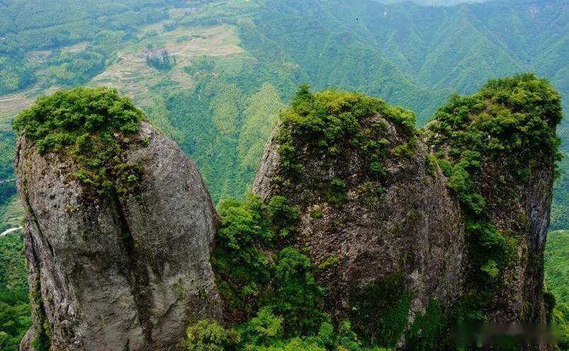 南平教育网_南平十大必玩景点_武夷山景点推荐