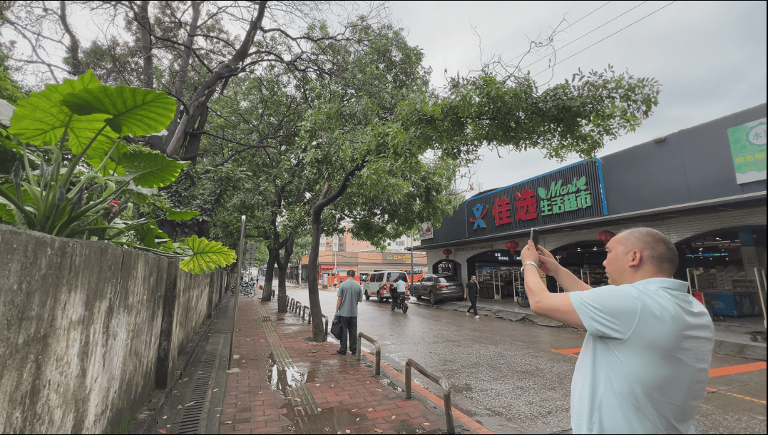 黄陂区天河街叶畅现状图片