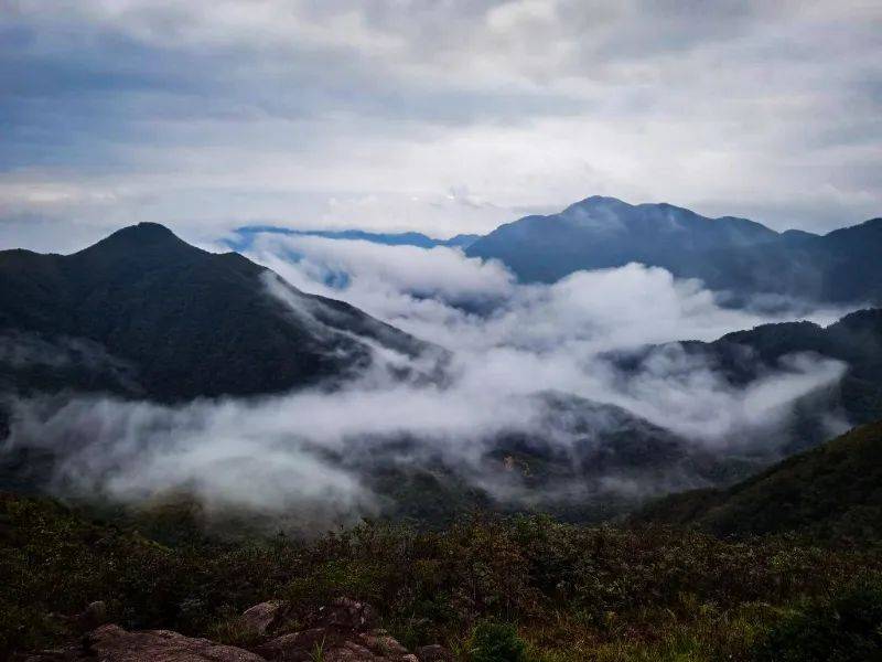【国庆·三龙穿雾】10月5晚