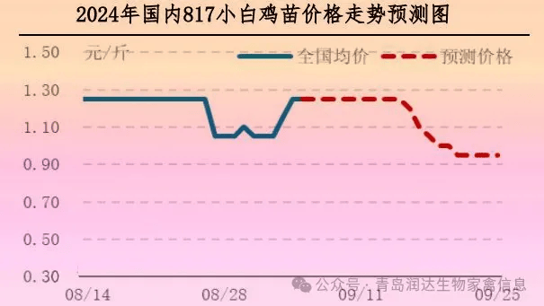 肉鸡市场行情:鸡苗价格走高,毛鸡价格持稳运行(20240830