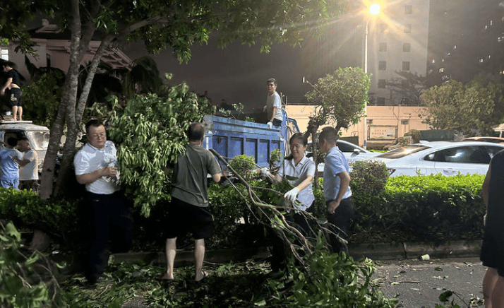 海口市教育局助力灾后城市道路交通清障畅通