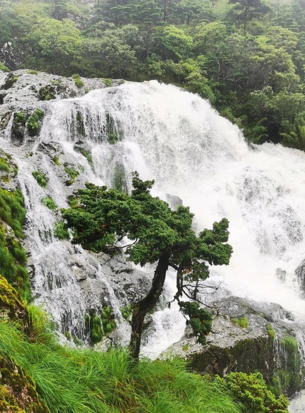 玉树龙西寺土登瀑布图片