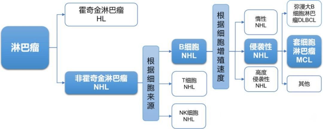 科普 | 9·15是第21个世界淋巴瘤日，关注会“跑”的肿瘤——淋巴瘤(图2)