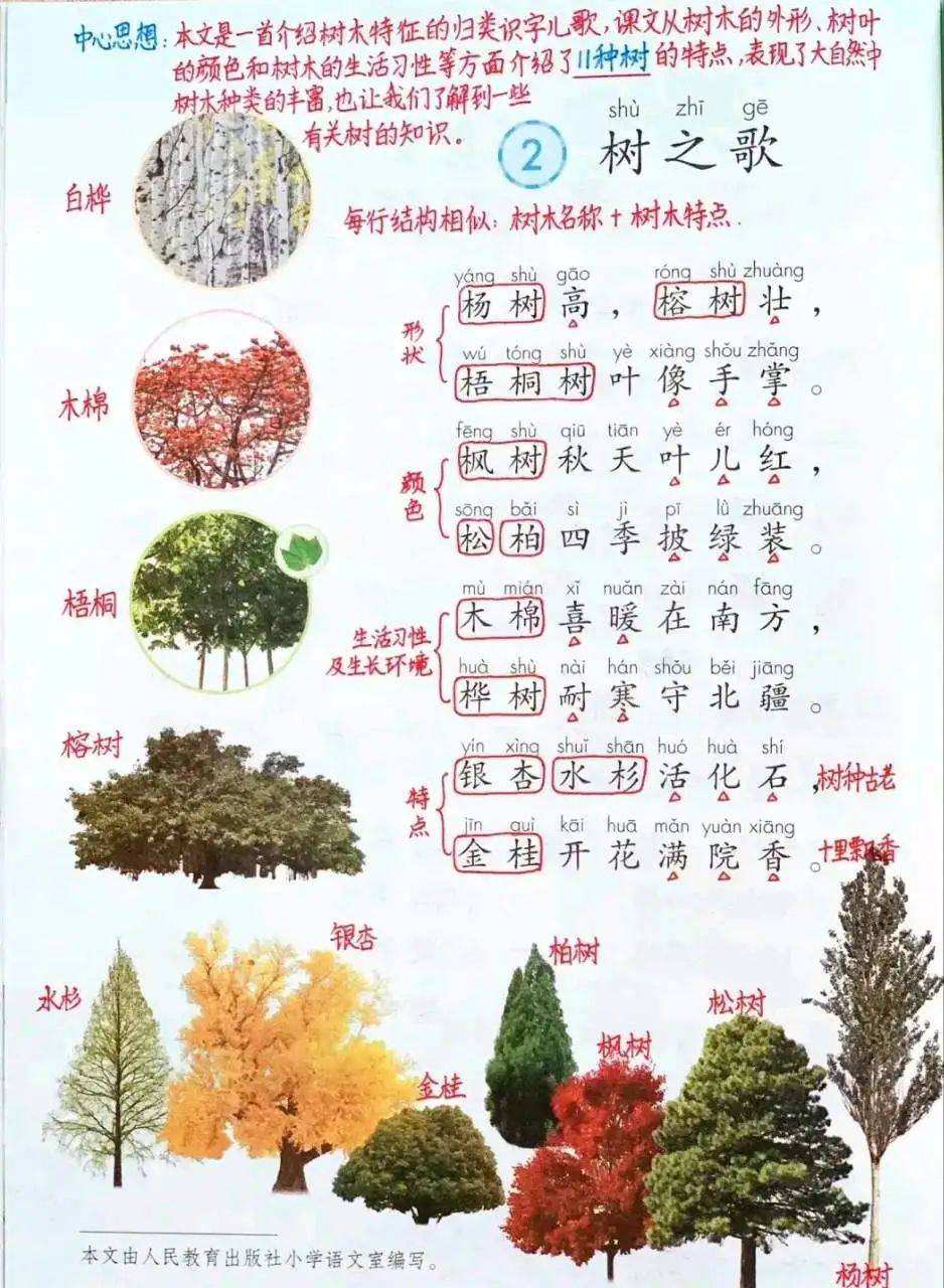 二年级语文上册识字②《树之歌》笔记+同步练习,_打印稿_文章_末尾