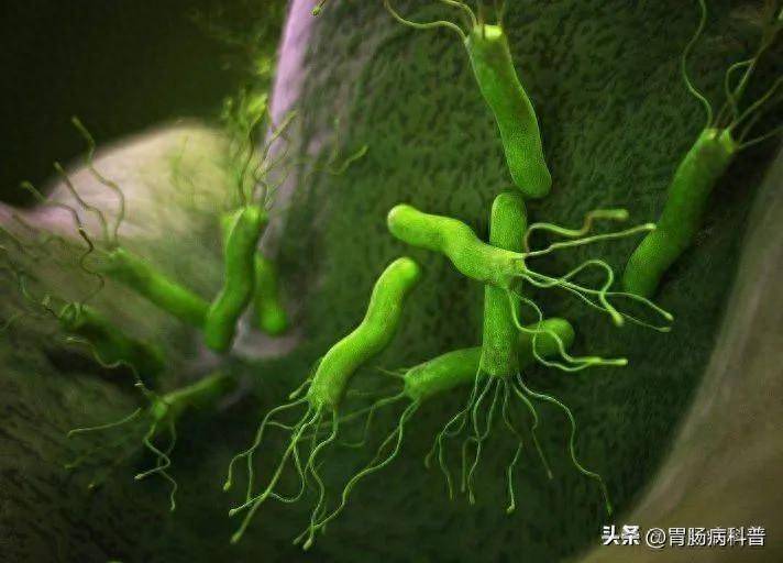 根除幽门螺杆菌，2种药就足够了——“二联疗法”或将成主流疗法_治疗_抗生素_mg