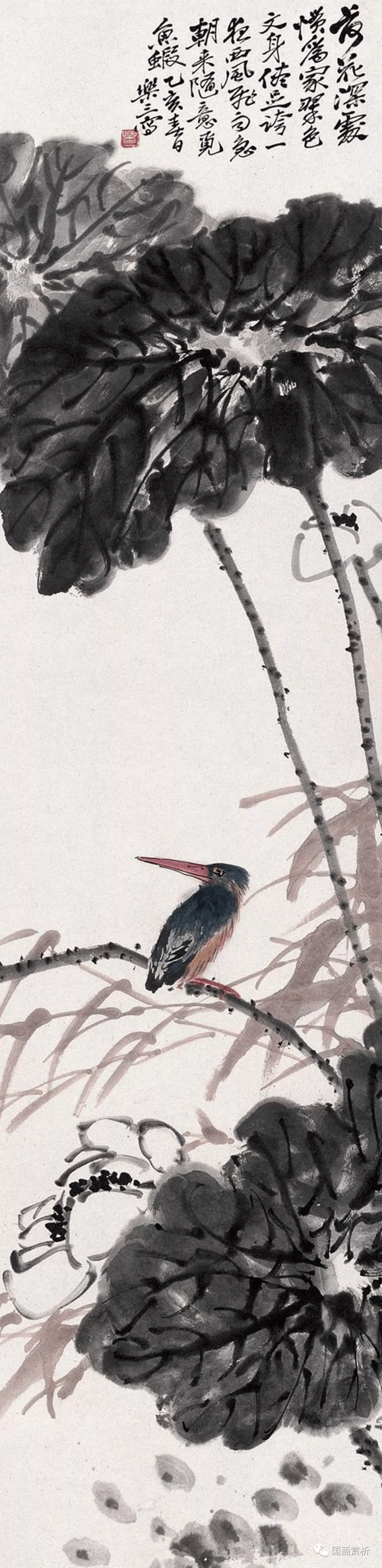 "吴派"诸乐三花鸟作品50幅_艺术_篆刻_国画