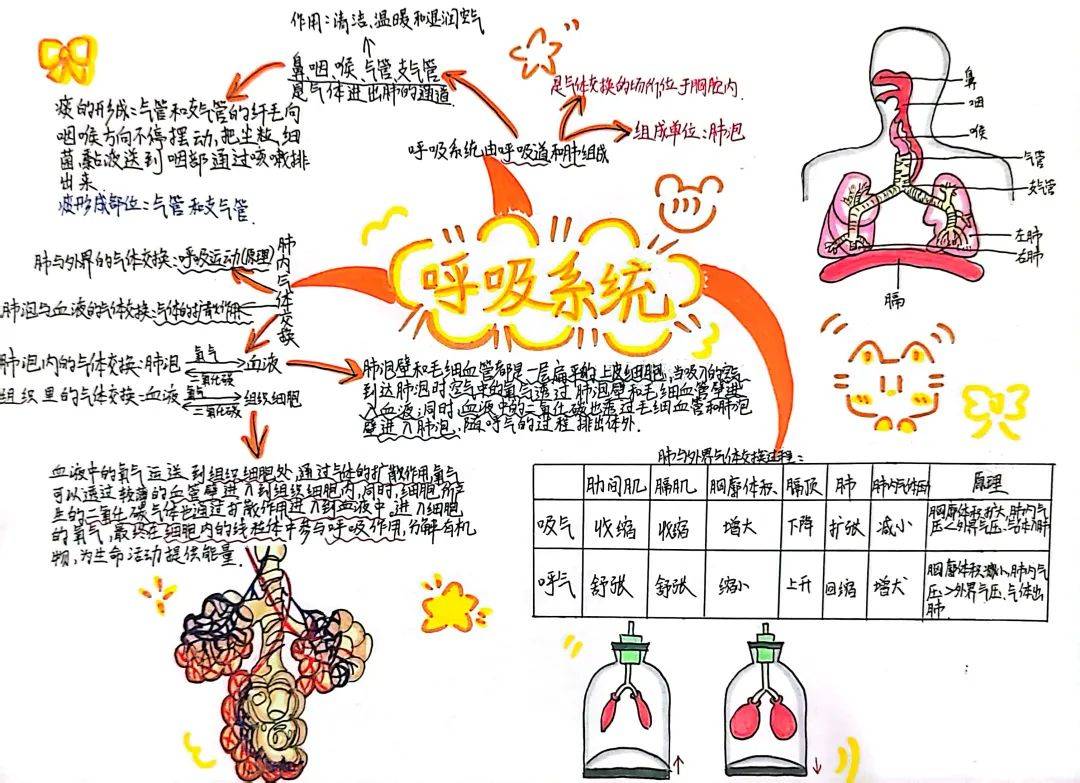 生命体征思维导图手写图片