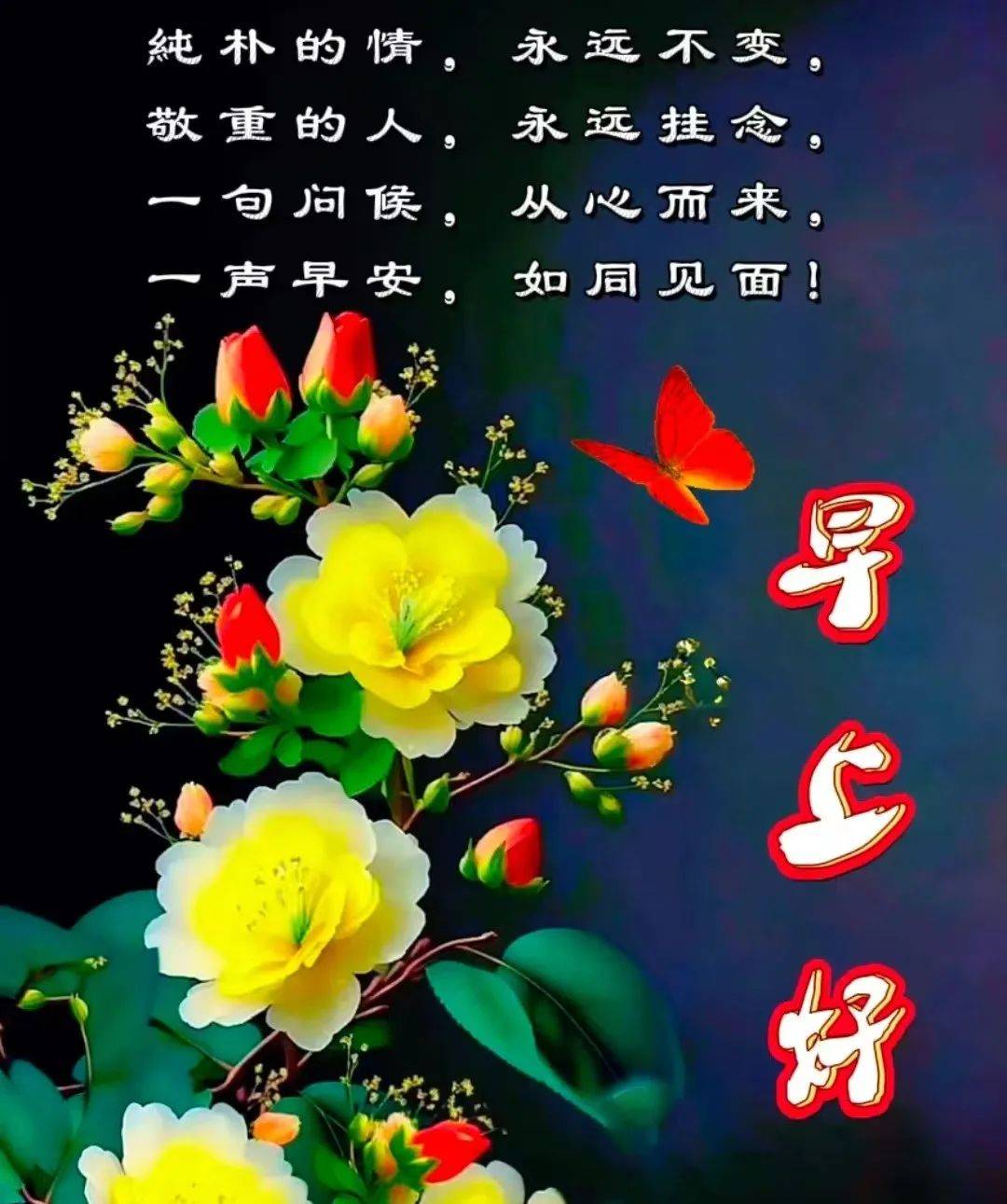 经典祝福早上好图片图片