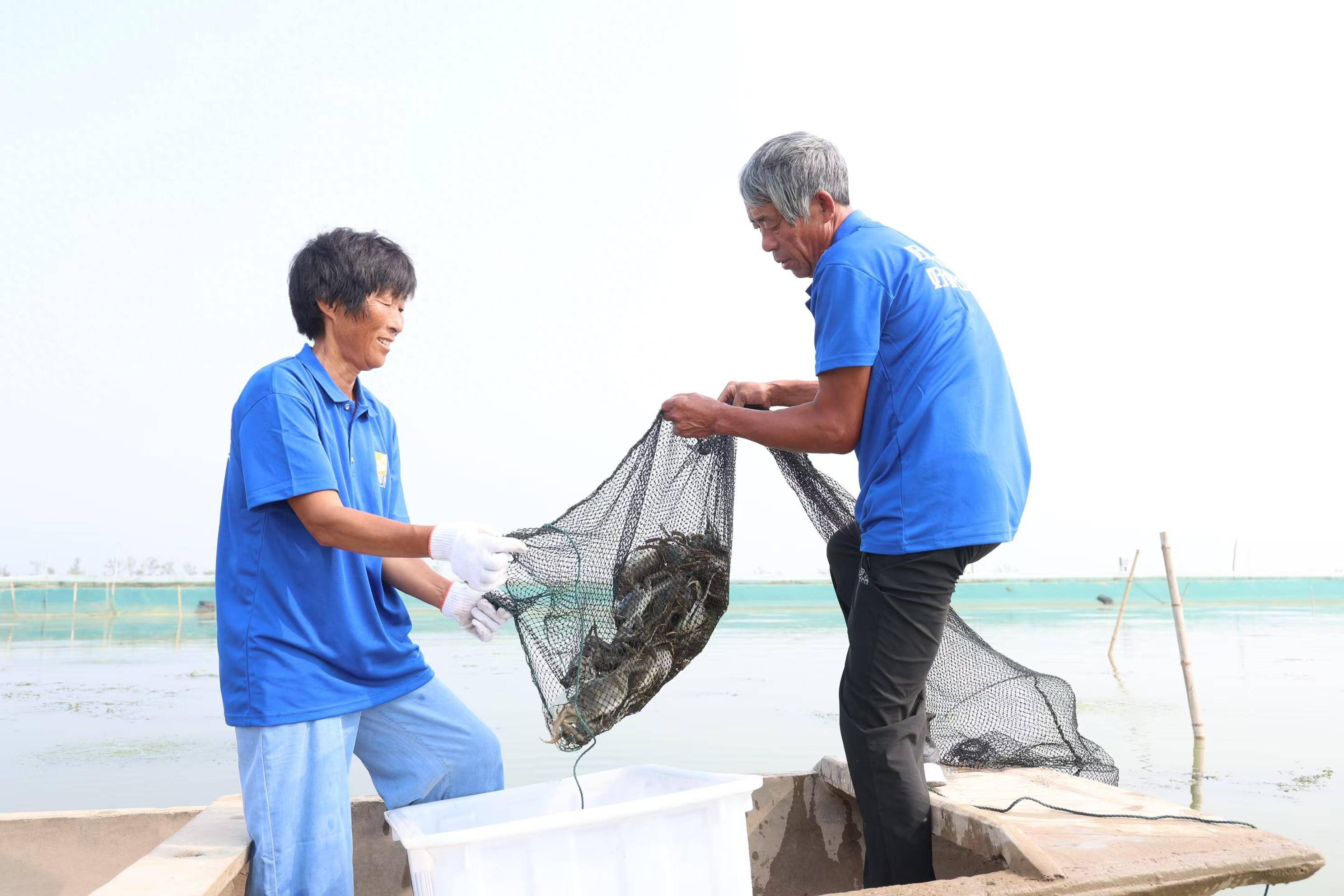 黄河口大闸蟹开捕图片