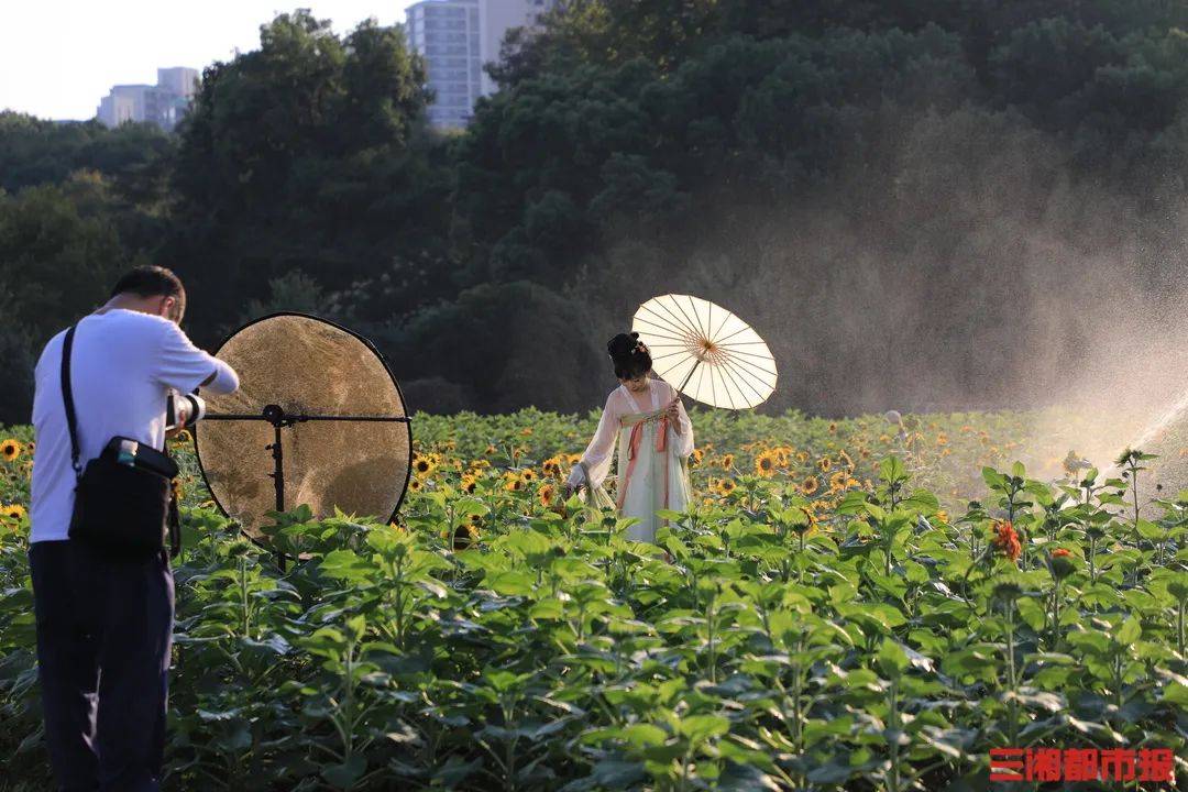 湖南植物园旅游攻略图片