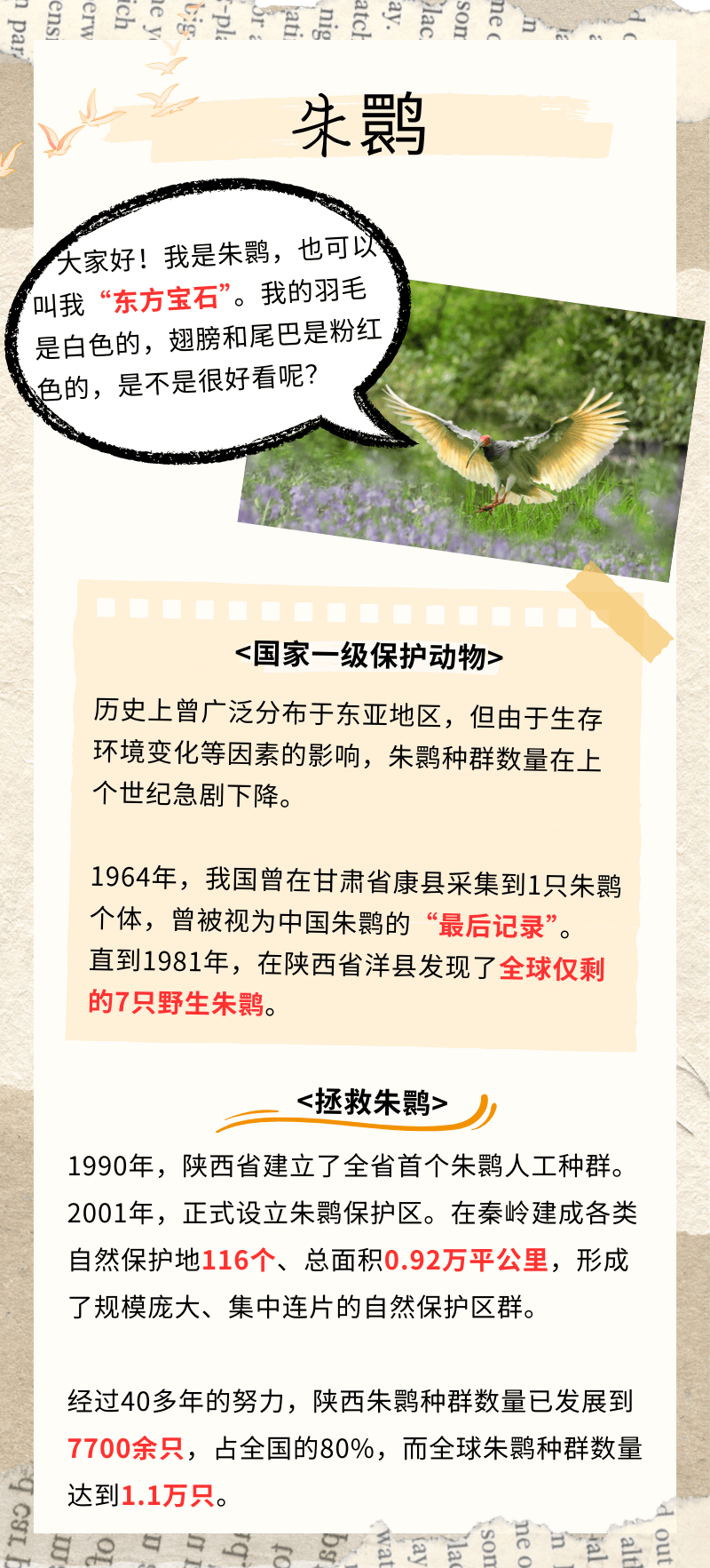 我国20多种珍稀濒危鸟类根据最新