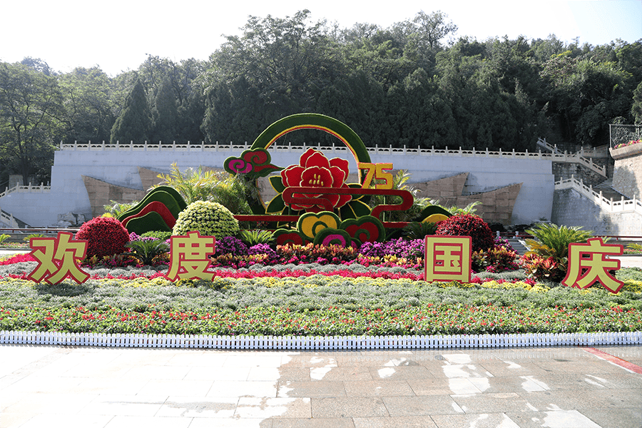 十一国庆花坛植物搭配图片