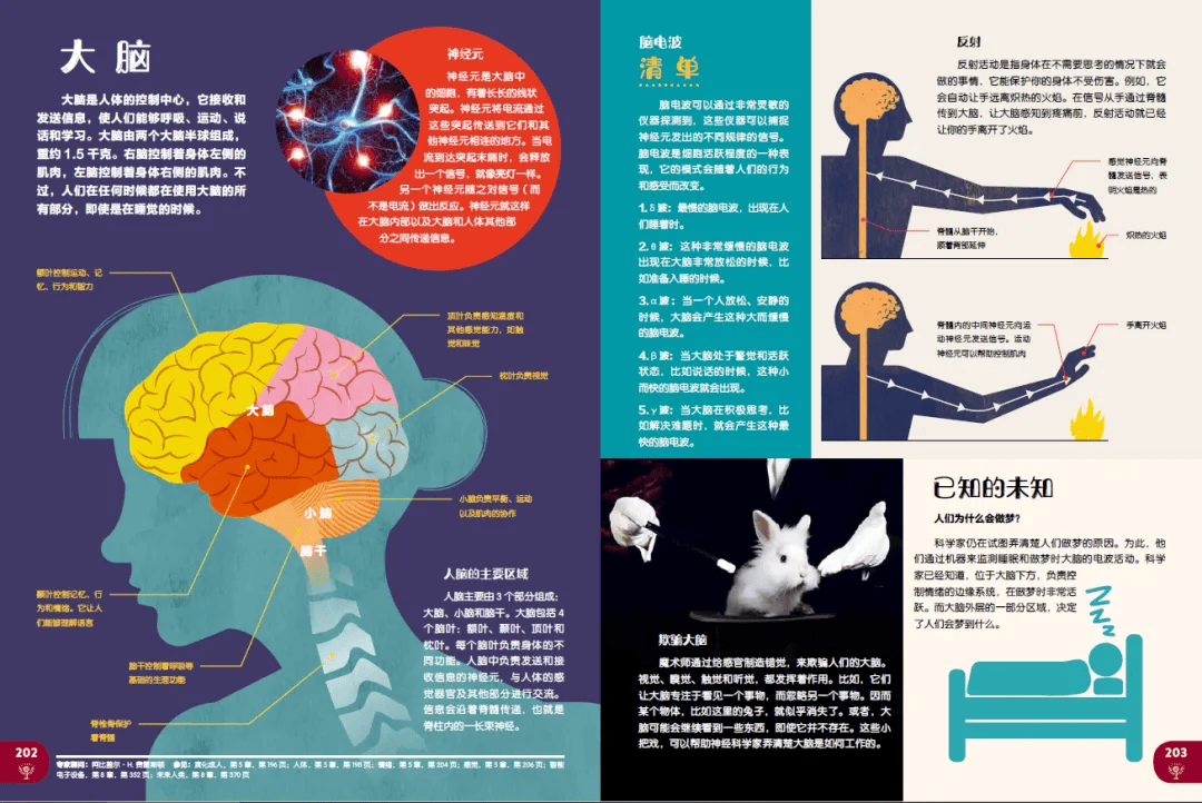 加礼不加价，《大英儿童百科全书》豪华礼盒版