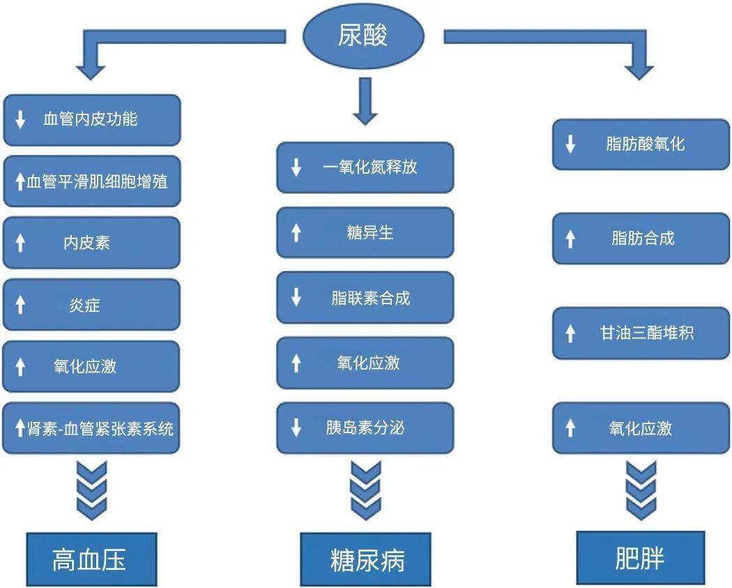 尿酸危機，席卷中國