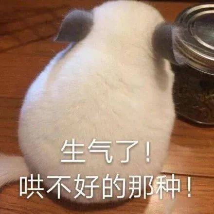 情侣专用表情包 聊天图片