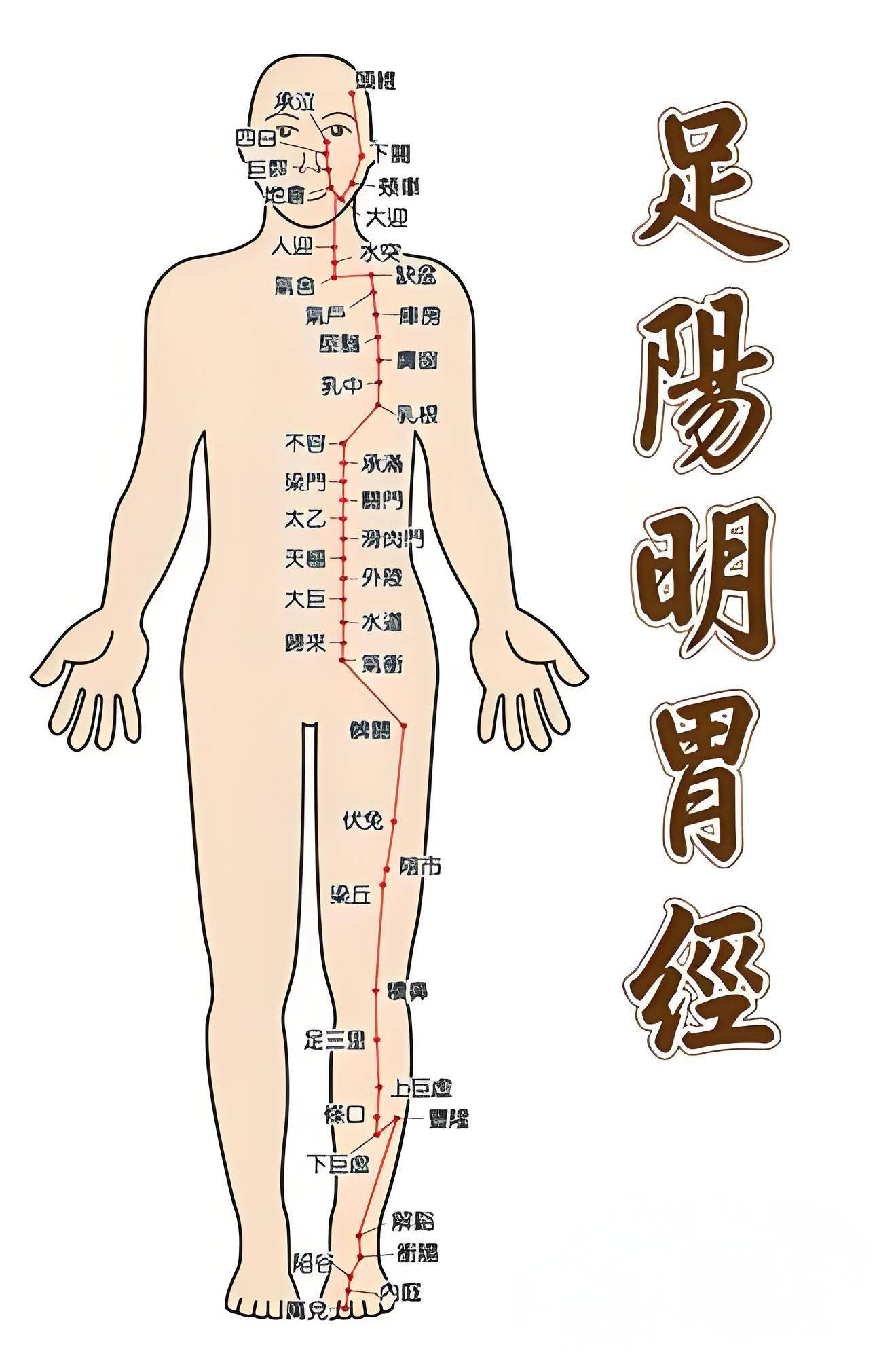 重读伤寒论第十条:伤寒传经与自愈机制解析