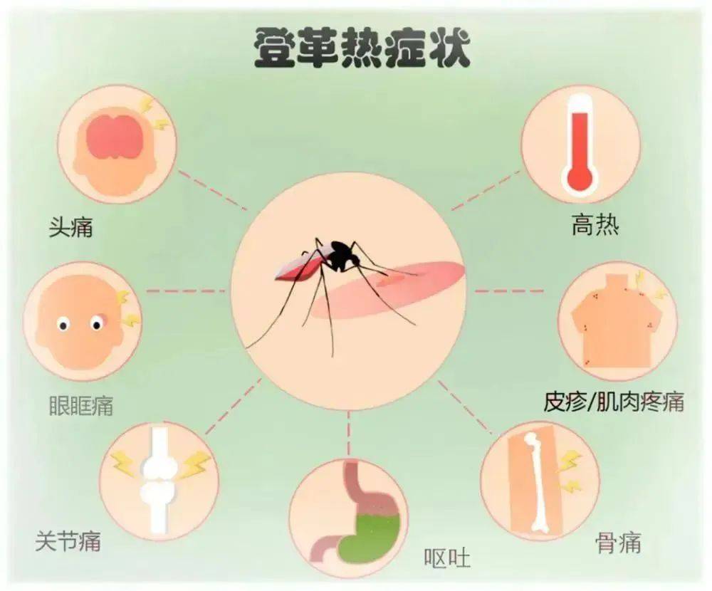 预防登革热,健康伴我行