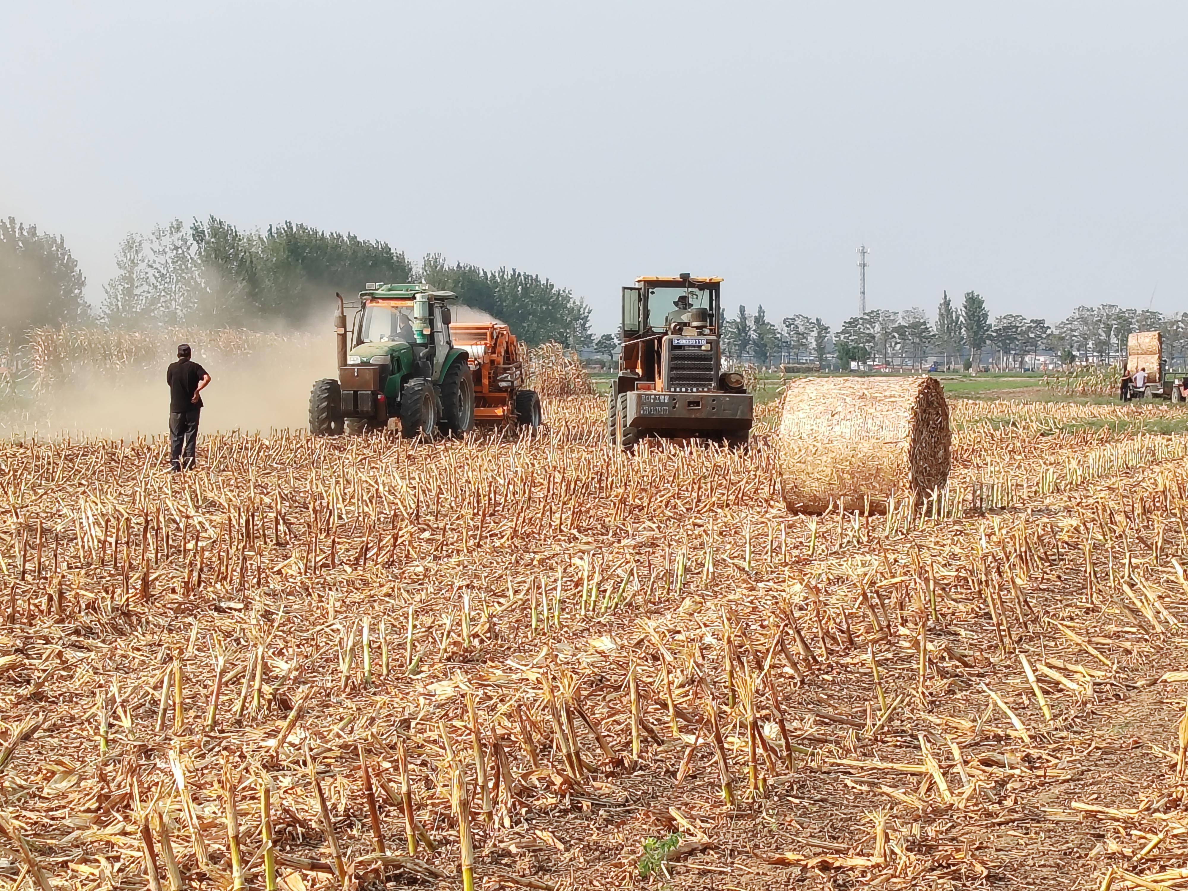 郝岗镇在秸秆禁烧工作中,立足秸秆综合利用做文章,在推广秸秆还田的