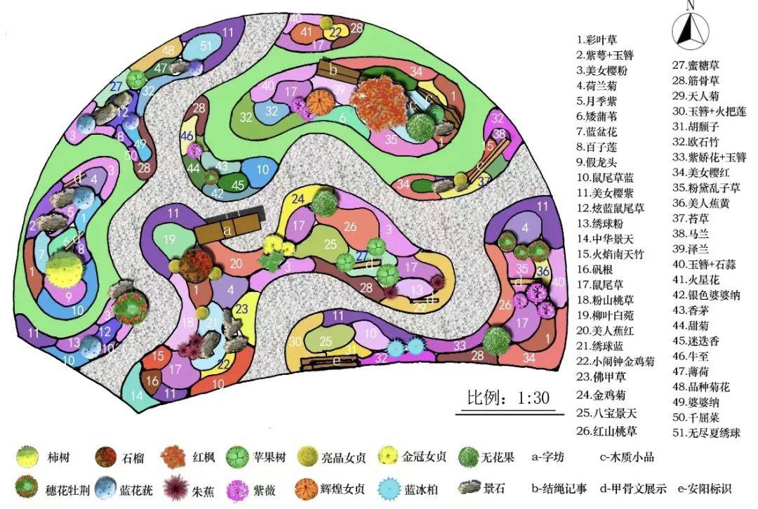 植物_自然_设计