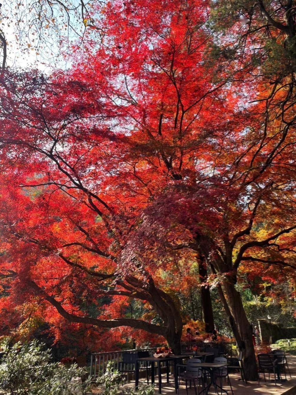 秀山红色旅游景点图片