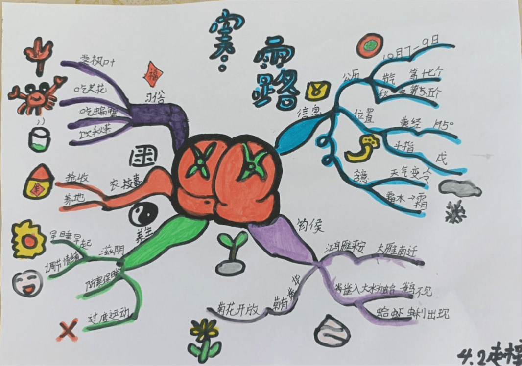 寒露节气思维导图图片