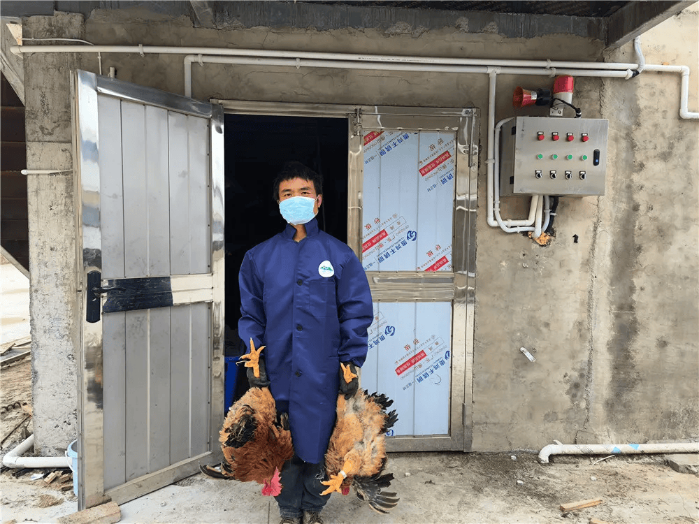 致富经养殖视频大全(致富经视频2020全集视频养牛)