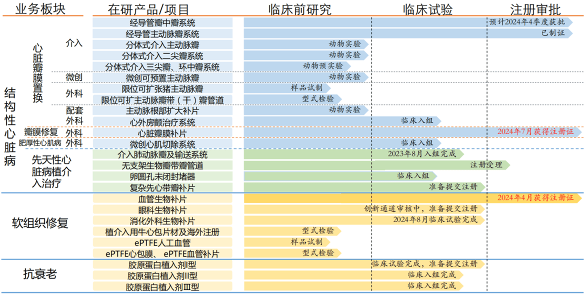 佰仁医疗开盘涨停 董事长直接持股浮盈近20亿元，回应拟增持股票：公司股价被低估