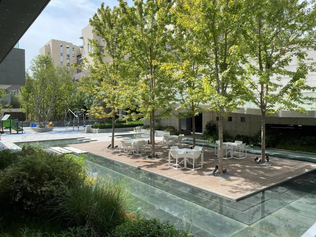 树阵/片植效果的场地设计篇,附品种推荐