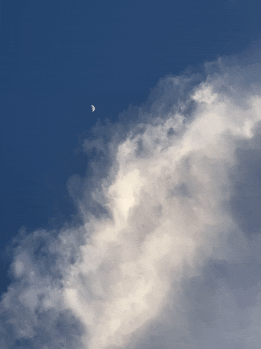 540_720竖版 竖屏gif 动态图 动图