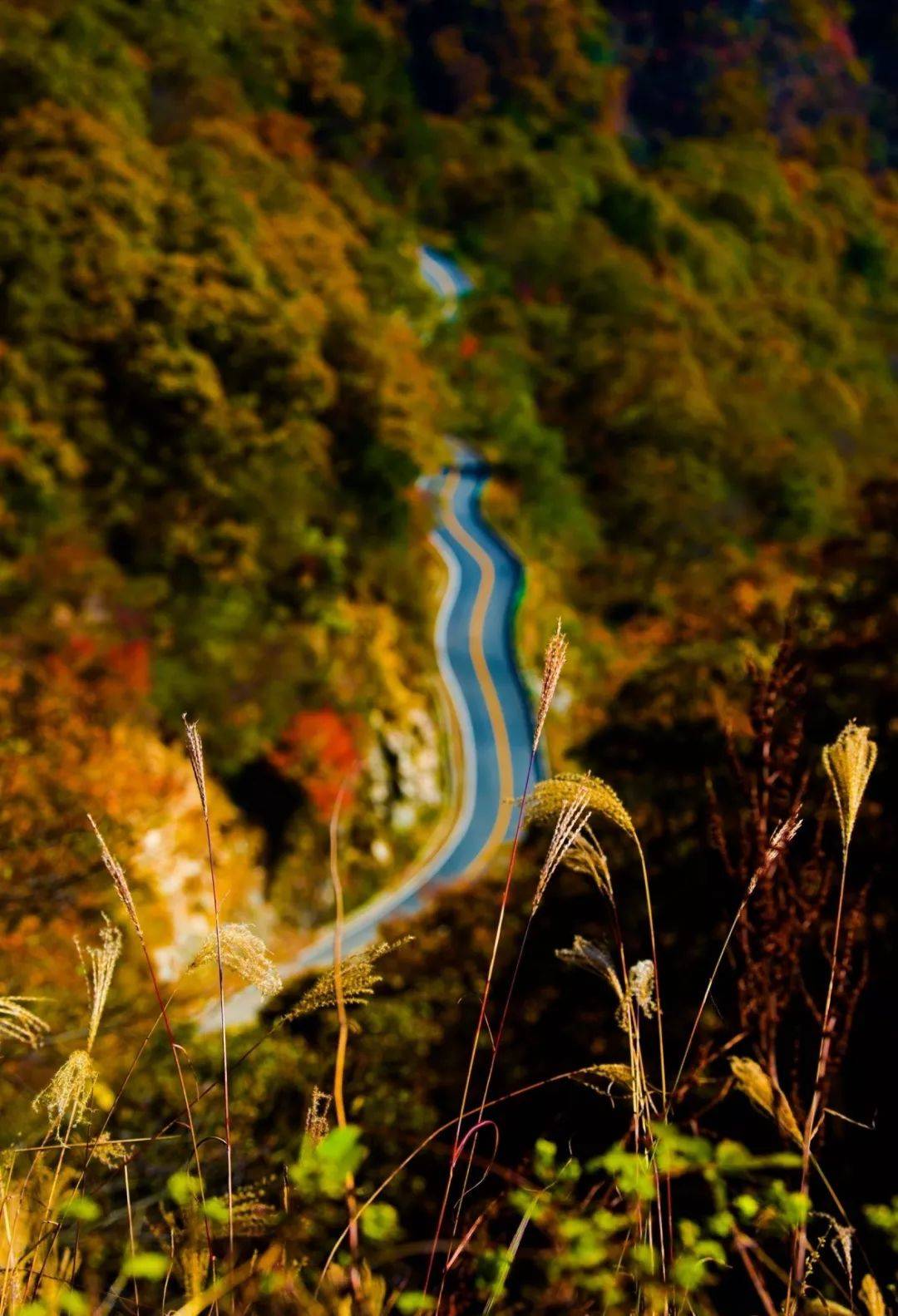 天堂寨马丁公路风景区图片