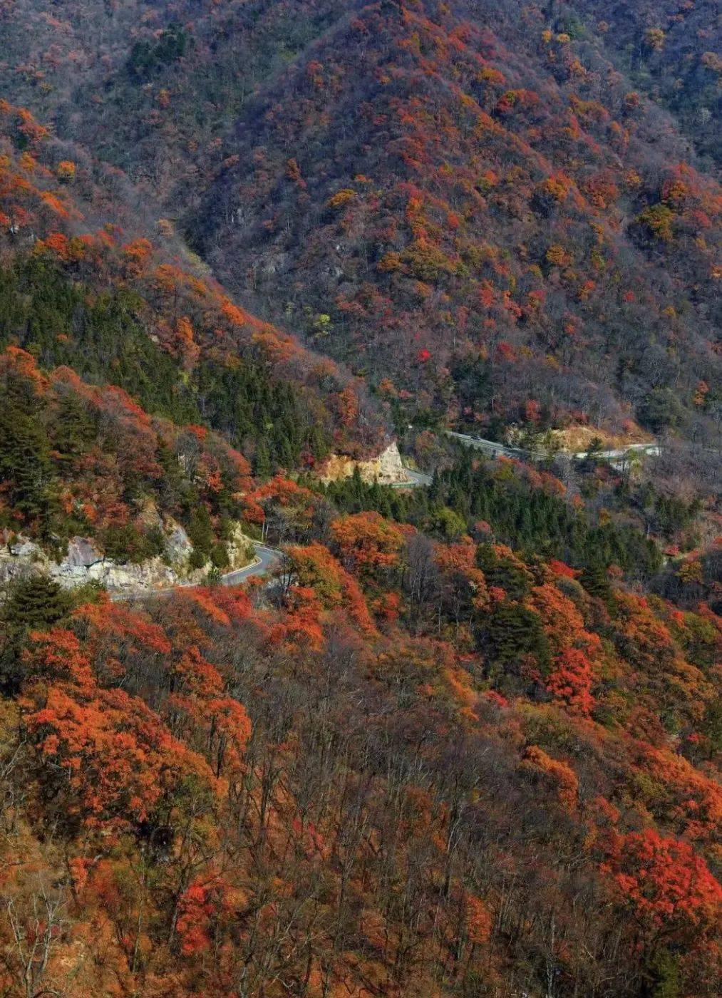 团|深秋走进大别山3天】11月初 安徽小众赏秋圣地,探秘皖西山林秋色