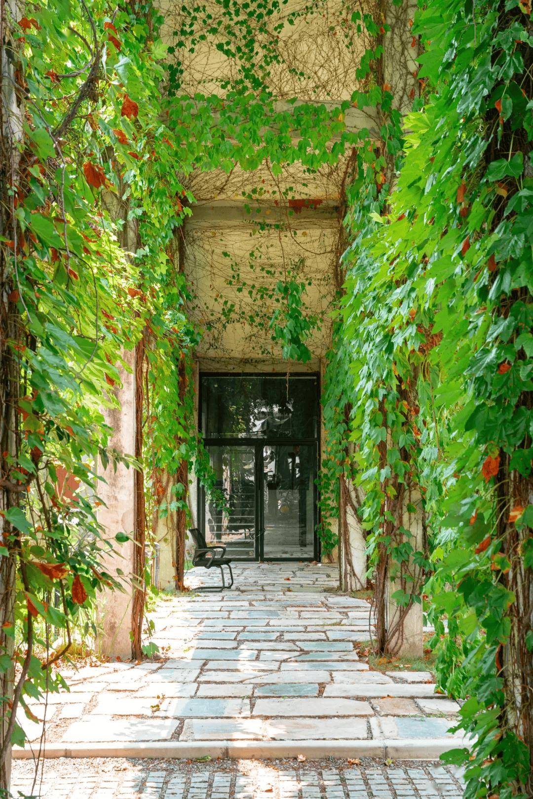 梦幻绿野仙踪里，竟然还有超多巨型装置！来魔都这个绝美艺术园区免费打卡→_搜狐网, image size:1080x1619