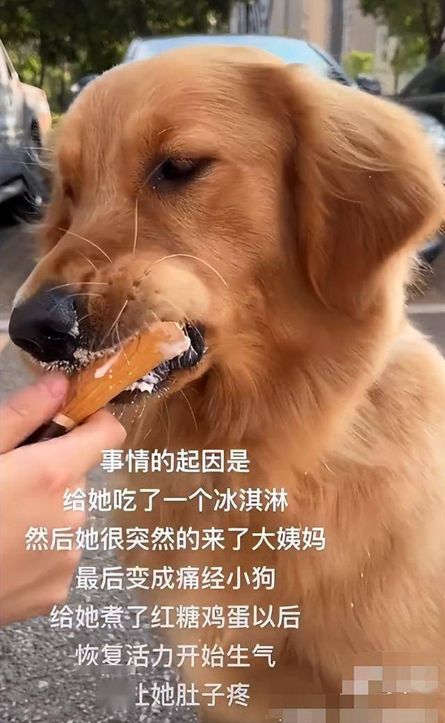 男子活煮小狗图片