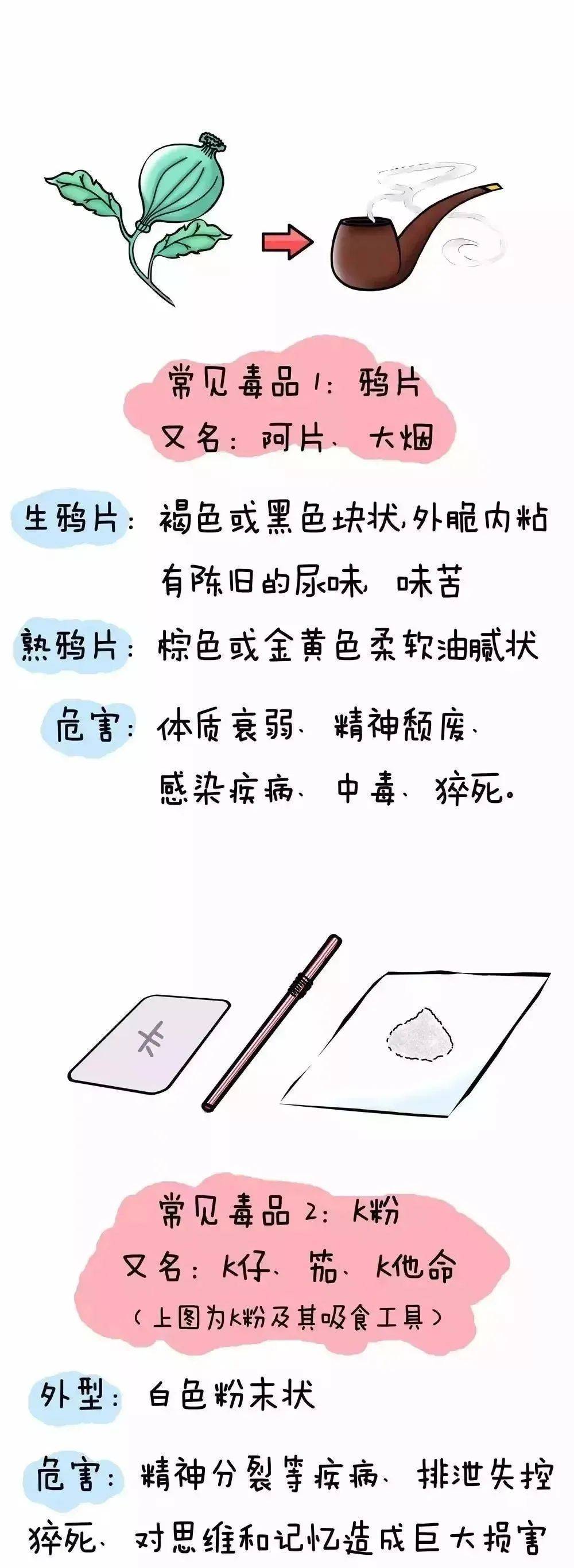 远离毒品儿歌图片