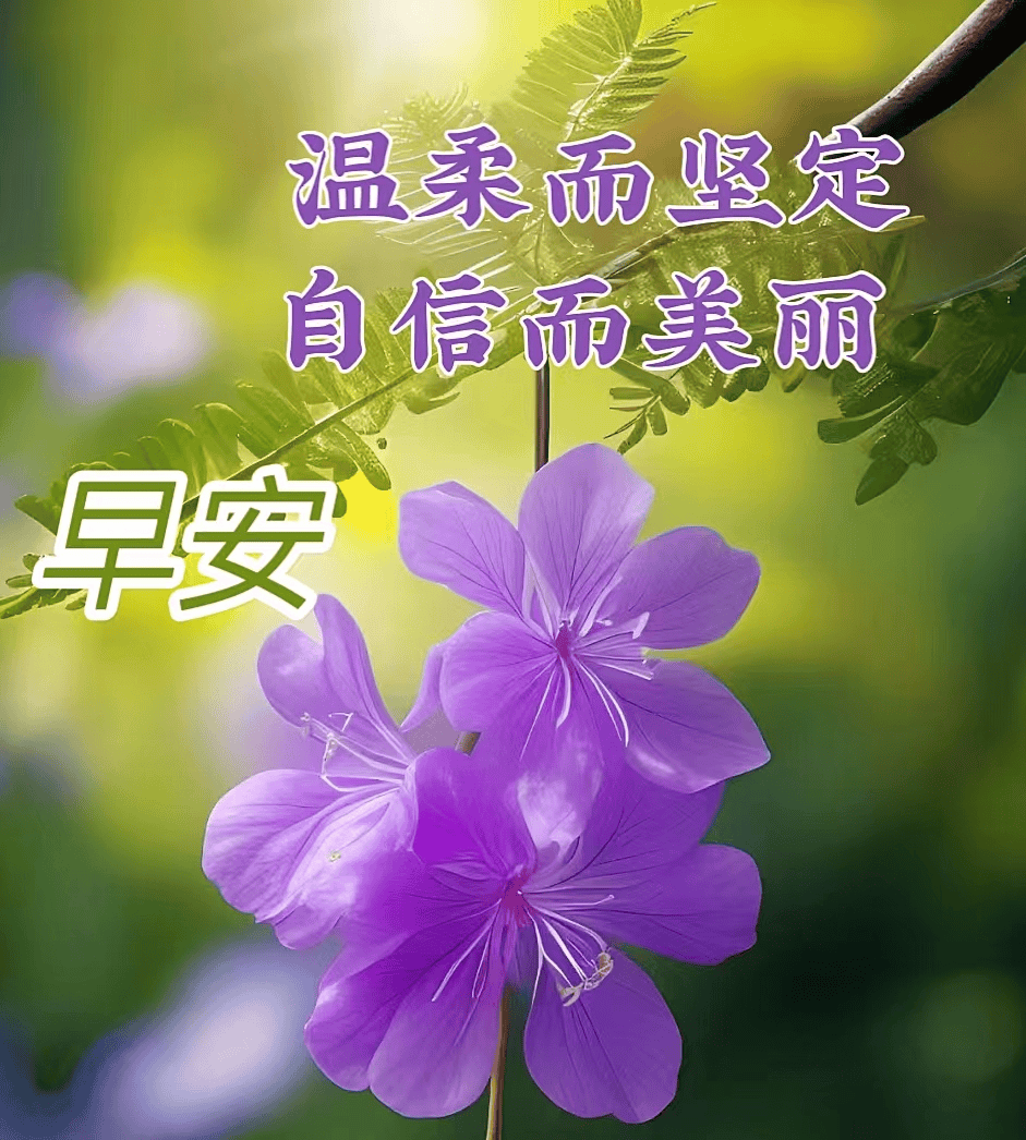 清晨阳光图片 好心情图片