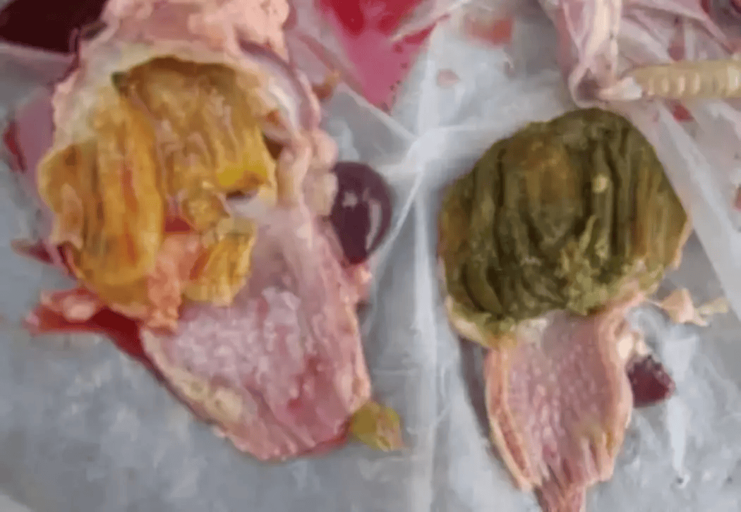 霉菌毒素对鸡的危害及防控措施
