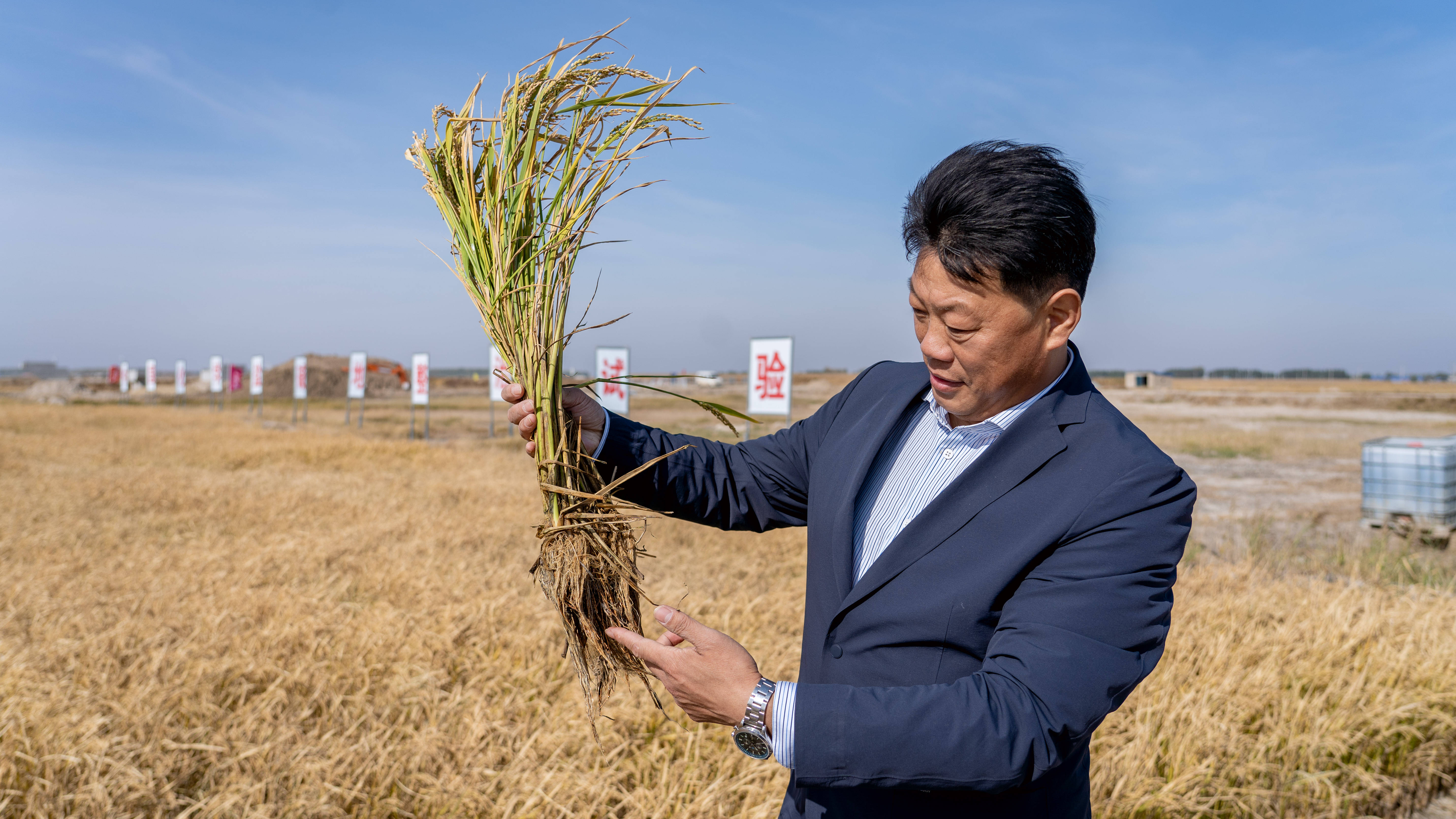 复合微生物旱田盐碱地改良技术在吉林白城见成效_土壤_唐成卓