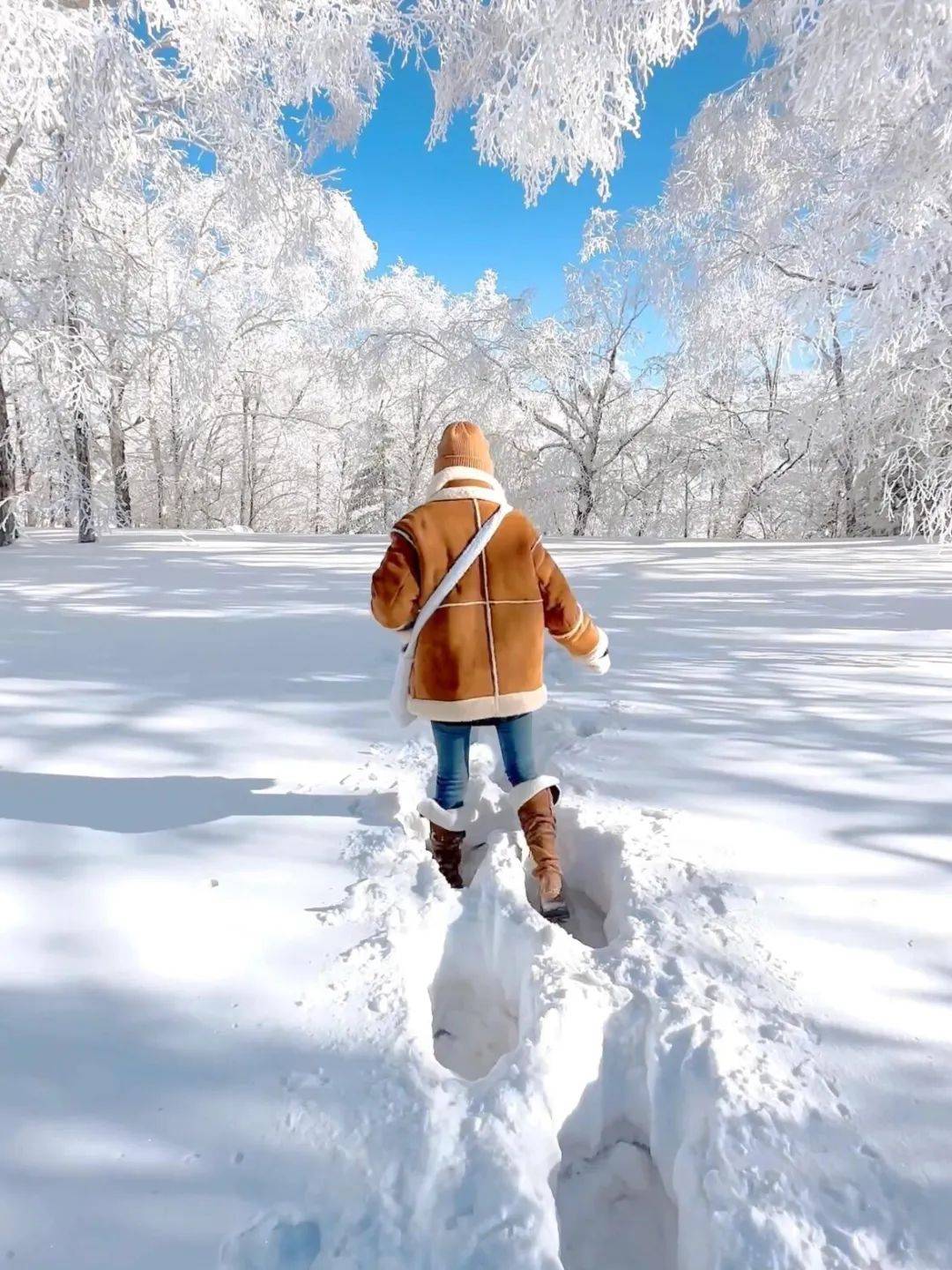 领略北国风光畅游冰雪王国给我七天还你整个银色世界大东北看雪