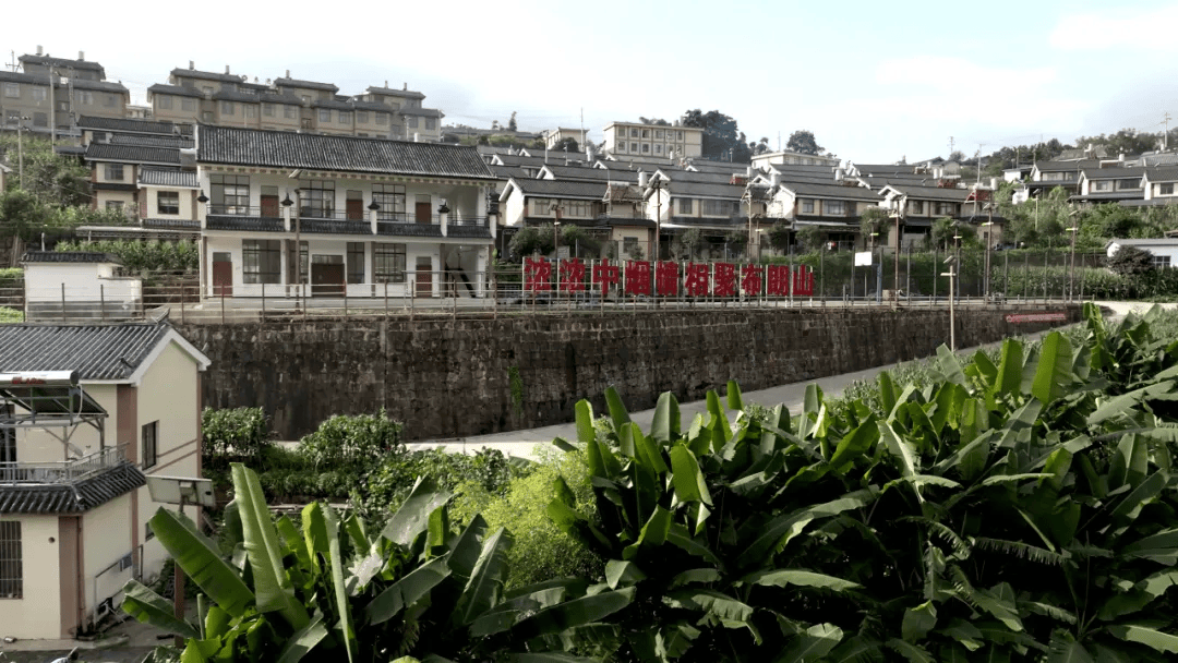 秋意浓丰收忙 活力乡村绽放出美丽画卷_云南_种植_建设