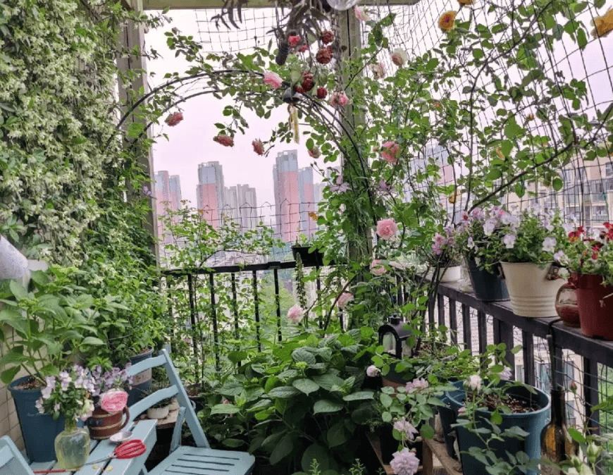 养花小技巧,简单实用,养好花并不难!_花盆_土壤_花卉