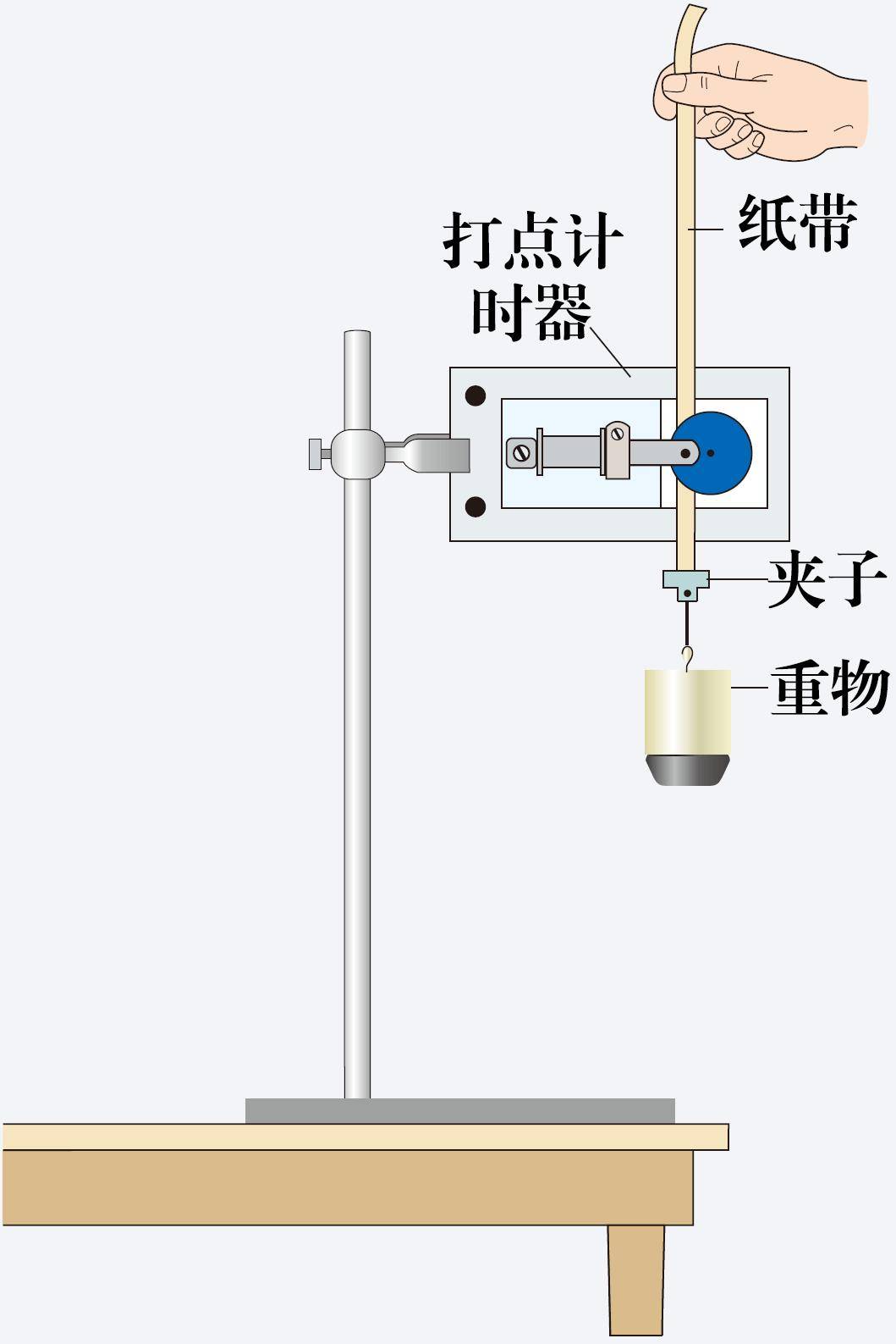 在现行教材中,通常采用自由落体运动来开展实验,以人教版为例,装置如