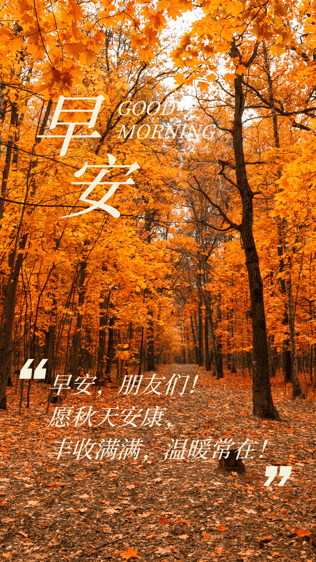 16早上好美好祝福:秋天安康,丰收满满,温暖常在!