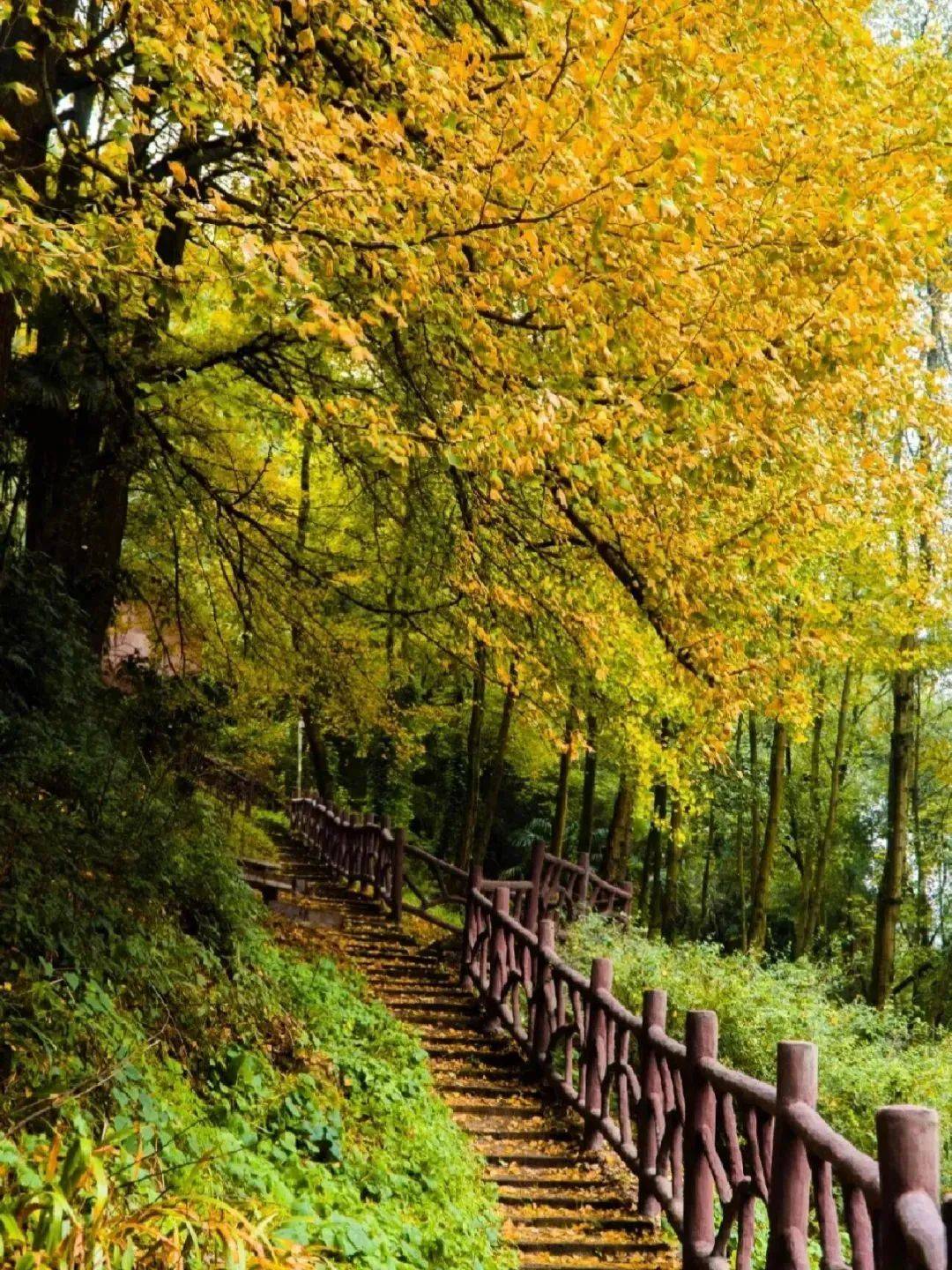 1080_1440竖版 竖屏